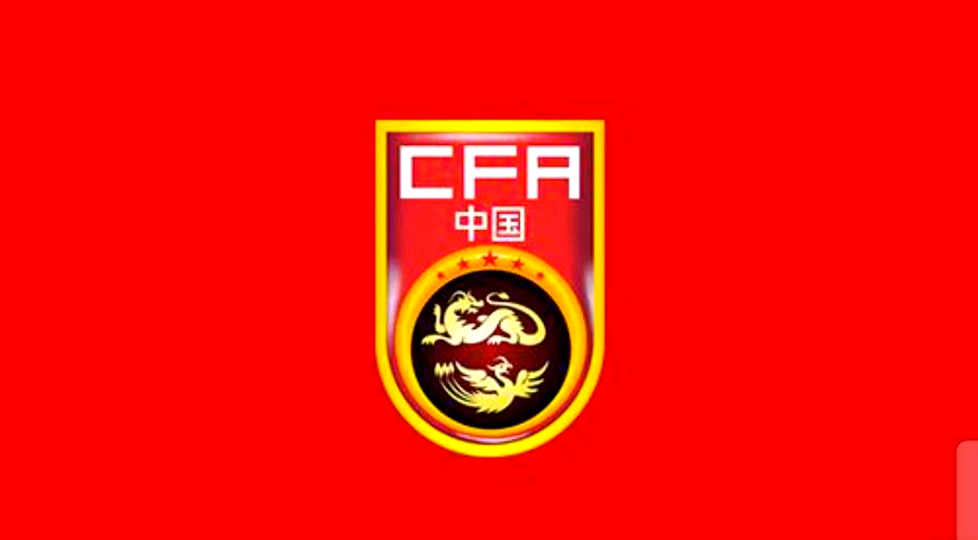国家队备战世界杯，备战策略深入研究的简单介绍