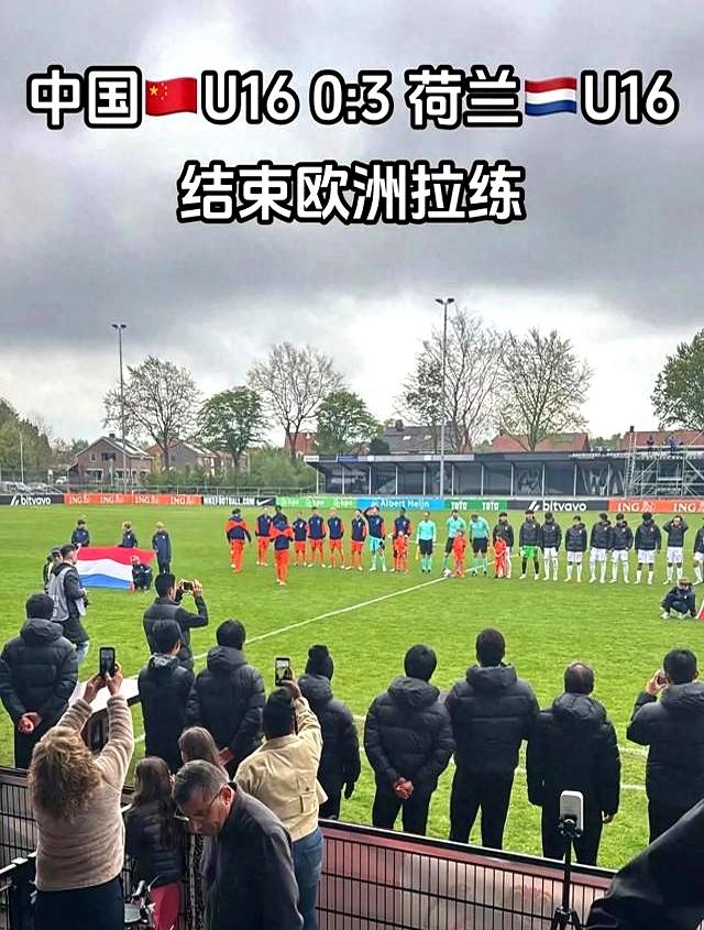 包含荷兰队不敌匈牙利，小组领头位置岌岌可危的词条