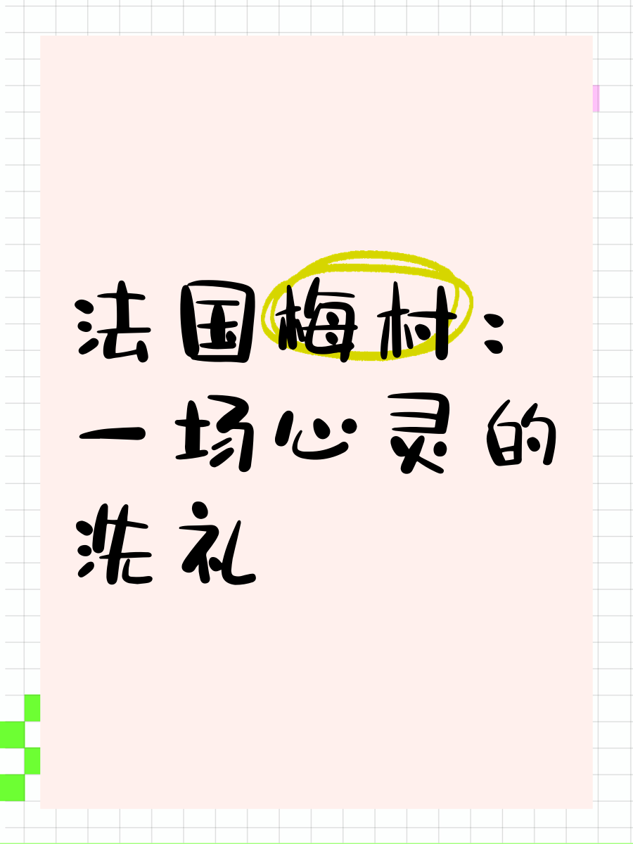 摩纳哥外援入籍法国，颇具争议