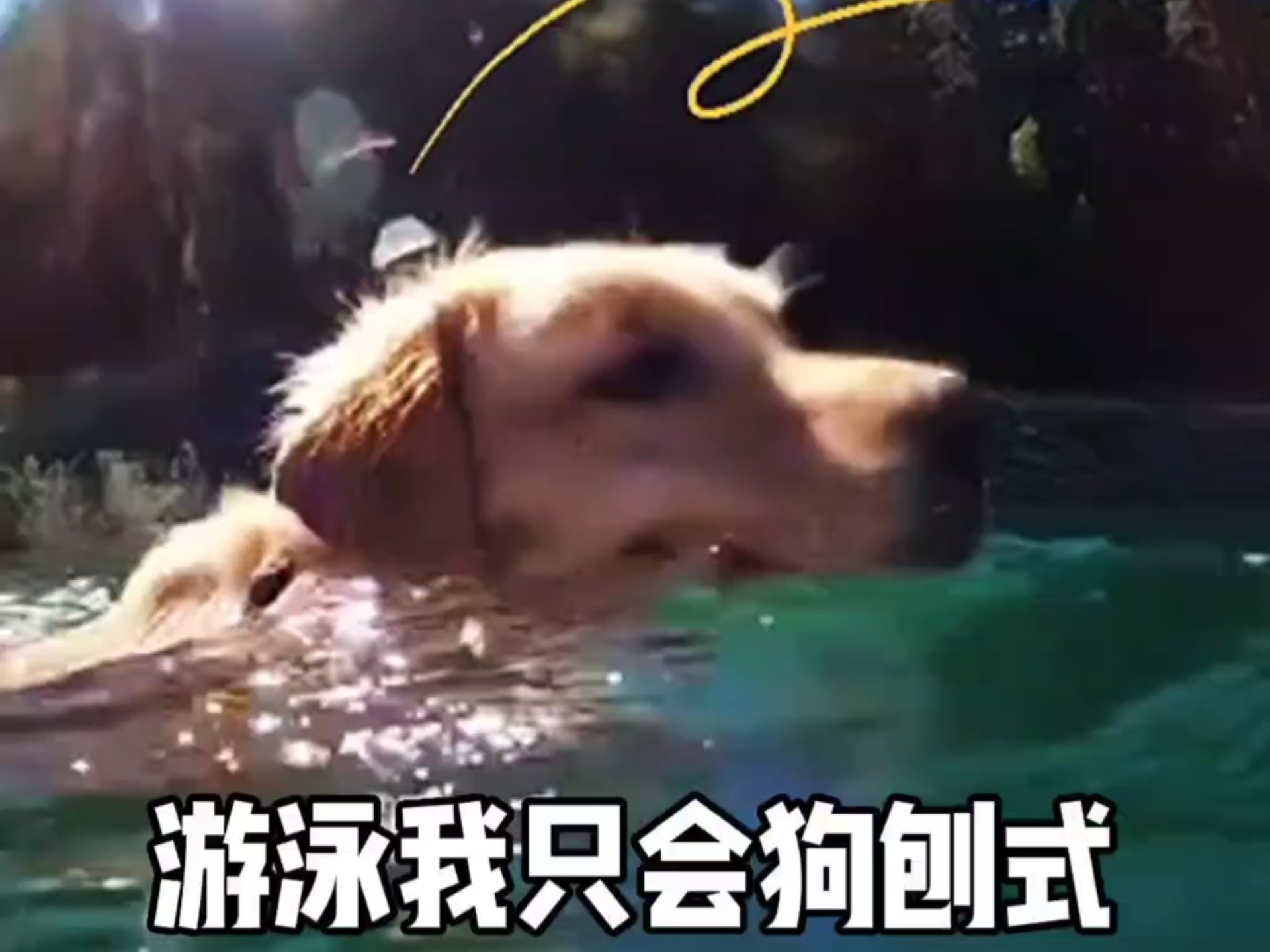 游泳场外新闻不断,话题热度爆表的简单介绍 游泳场外新闻不断,话题热度爆表的简单介绍