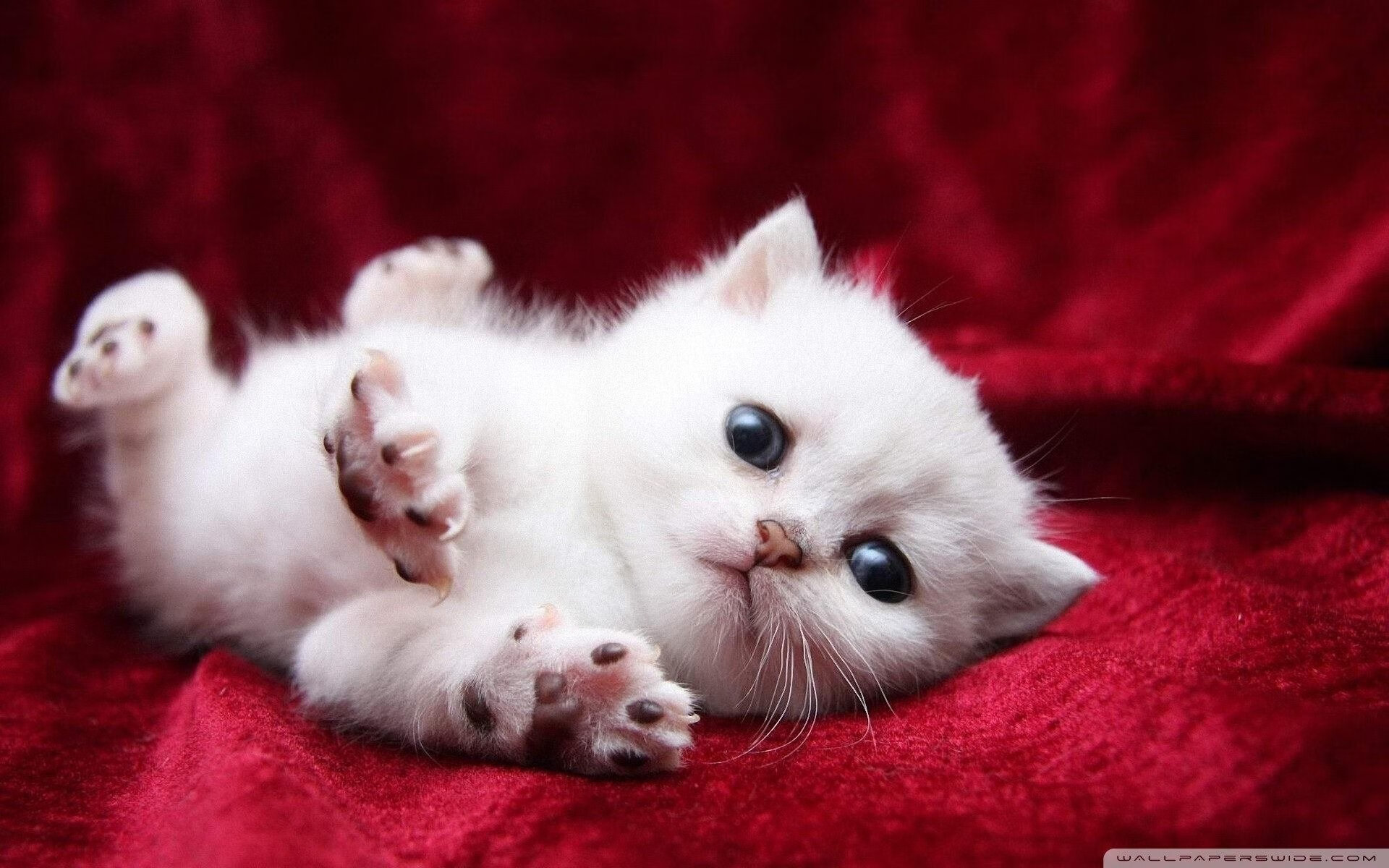 爱游戏在线-铁血烈焰与不屈之枪，马克西稳定输出的背后，是一场对篮球本质的忠诚