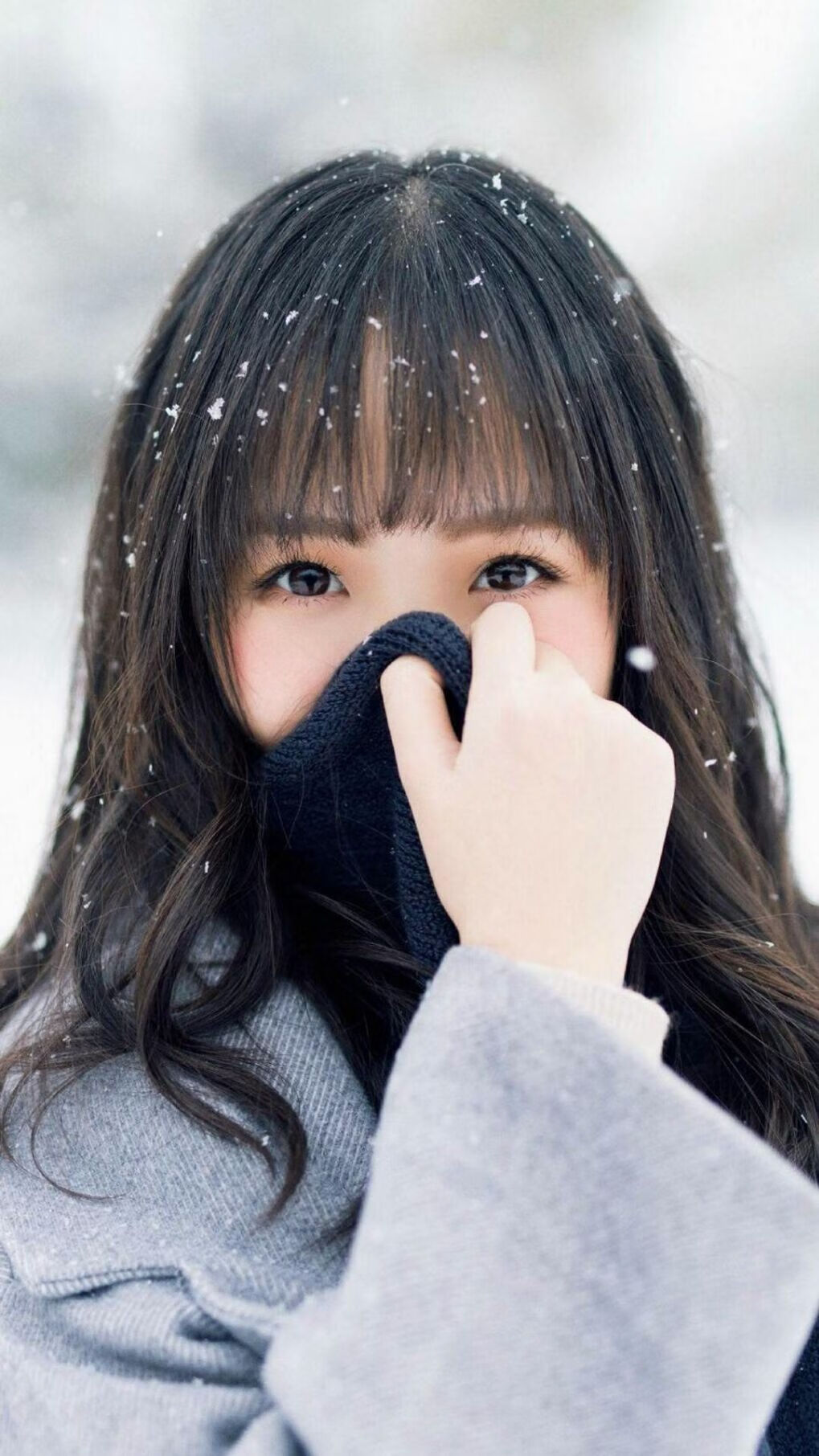 东契奇与广厦队联手拆解狼群密码，当顶级持球大核遭遇极致节奏掌控